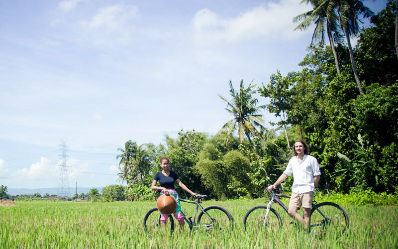 Two cyclists in a ricefield