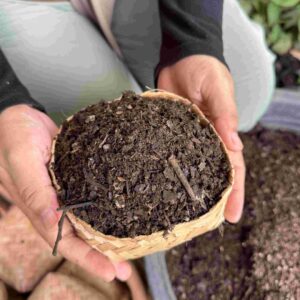 WhatsApp Image 2025-01-28 at 14.34.02_c74f6561